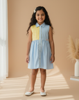 Button Dress with Pleat Panel