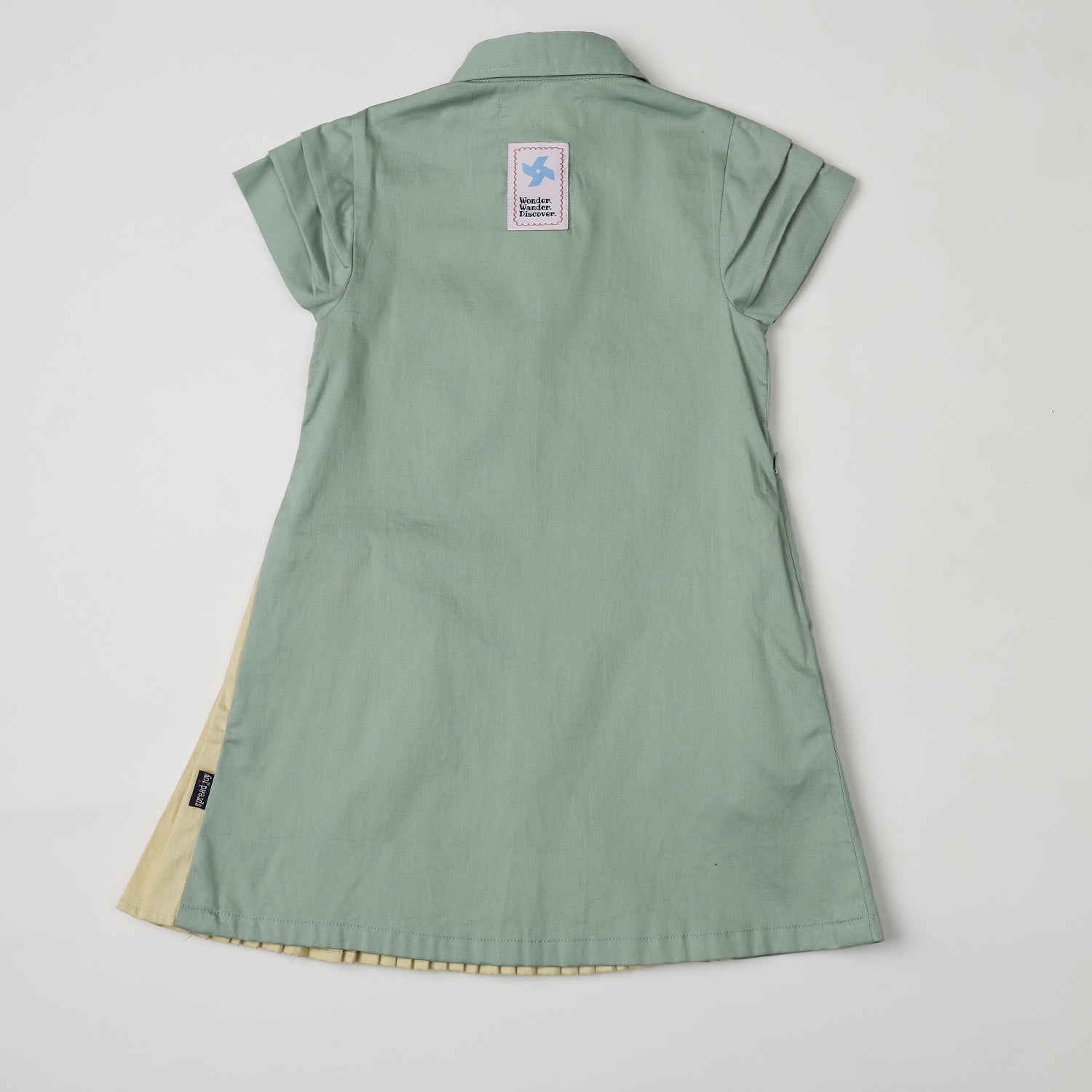 Pleated dress with collar